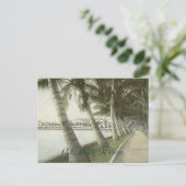 Palmビーチ1905ポストカード ポストカード (スタンド正面)