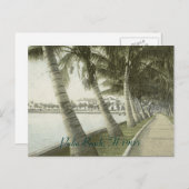 Palmビーチ1905ポストカード ポストカード (正面/裏面)