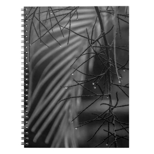 Palm and rain Spiral Photo Notebook ノートブック (正面)