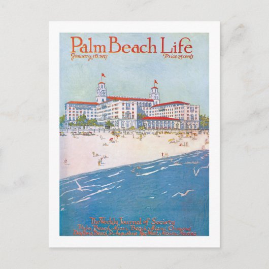 Palm Beachの生命#11郵便はがき ポストカード (正面)