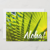 Palm Fan, Kilaea, Kauai, Hawaii 招待状 (正面)