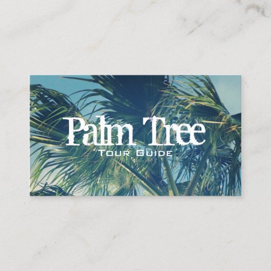 Palm Frondsの写真 名刺 (正面)