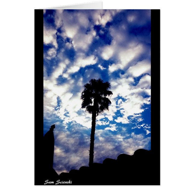 Palm in the Clouds (正面)