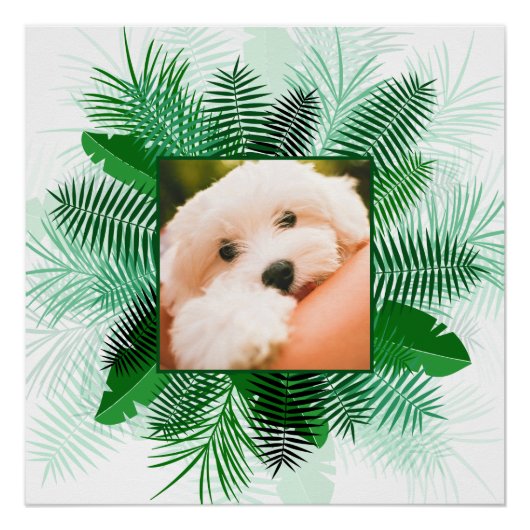 Palm Leafフレームの写真のポスカスタムター ポスター (正面)