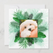 Palm Leafフレーム内の写真招待状 招待状 (正面)