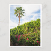 Palm Springs Desert Florals & Palm Tree ポストカード (正面)