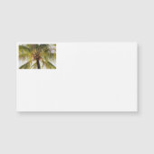 Palm Tree名刺 (正面)