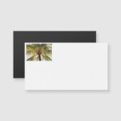 Palm Tree名刺 (正面/裏面)