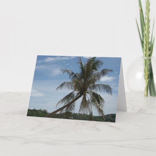 palm tree シーズンカード (正面)