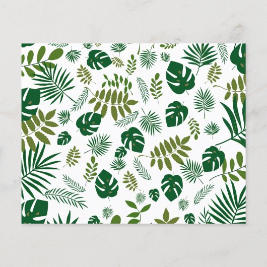 Palm Tree Budgetの下で日付を保存 チラシ (裏面)