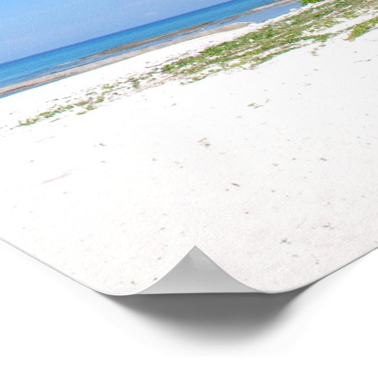 Palm tree、Grand Cayman、Canvas print ポスター (角)