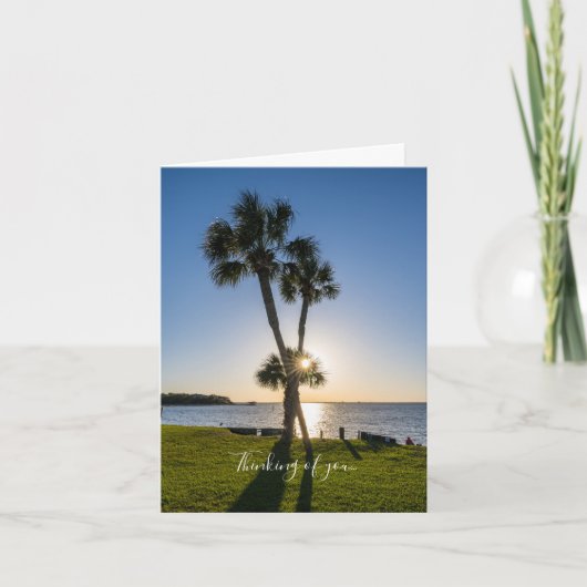 Palm Tree Hasshuss Silhouette Of You考え Card カード (正面)