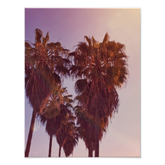 Palm Tree Heart Photo フォトプリント