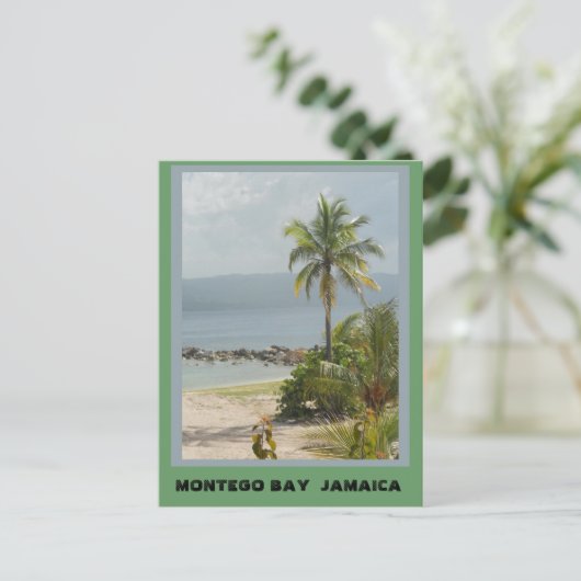 Palm Tree, Montego Bay Jamaica  ポストカード (スタンド正面)