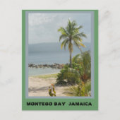 Palm Tree, Montego Bay Jamaica  ポストカード (正面)