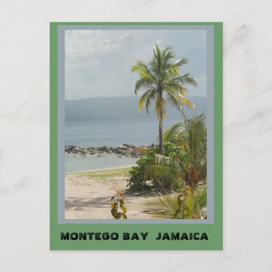 Palm Tree, Montego Bay Jamaica ポストカード (正面)