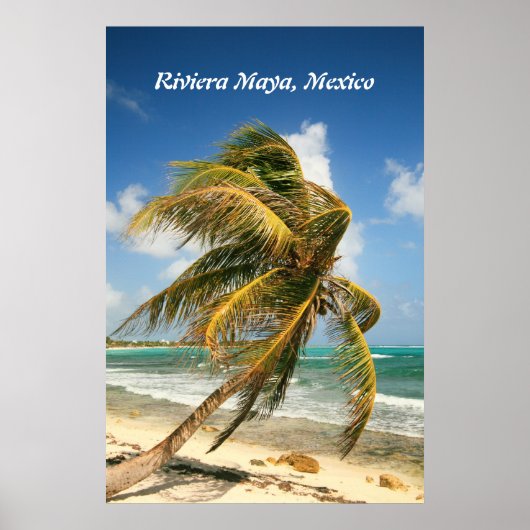 Palm Tree on the Riviera Maya, Mexicoポスター ポスター (正面)