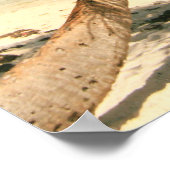 Palm Tree on the Riviera Maya, Mexicoポスター ポスター (角)