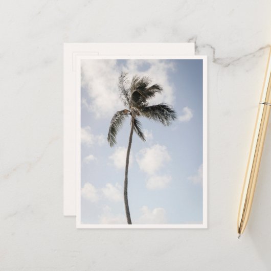 Palm Tree Photo Tropical Beach Hawaii ポストカード (正面/裏面インサイチュ)