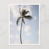 Palm Tree Photo Tropical Beach Hawaii ポストカード (正面)