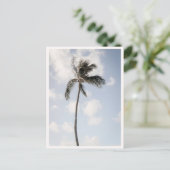 Palm Tree Photo Tropical Beach Hawaii ポストカード (スタンド正面)