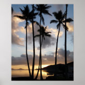 Palm Tree Silhouettes in Hawaii ポスター (正面)