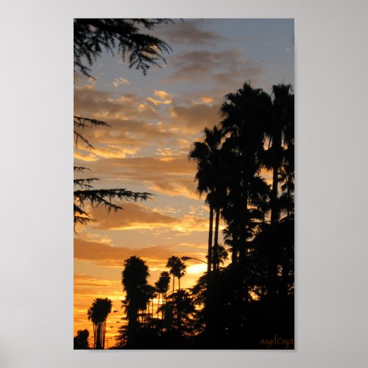 Palm Tree Sunset Los Angeles Poster ポスター (正面)