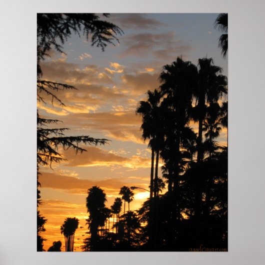 Palm Tree Sunset Los Angeles Poster ポスター (正面)