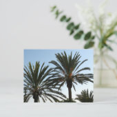 Palm Treesフォトポストカード ポストカード (スタンド正面)