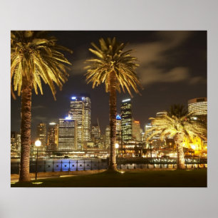 Palm Trees and CBD at Night, Sydney, New South ポスター