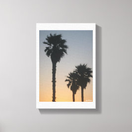 Palm Trees At Sunset キャンバスプリント