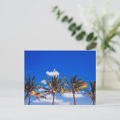 Palm Trees on カリブのビーチ, Riviera Maya Tulum ポストカード (スタンド正面)