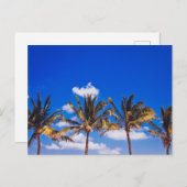 Palm Trees on カリブのビーチ, Riviera Maya Tulum ポストカード (正面/裏面)