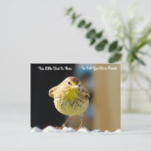 Palm Warbler - Backyard Bird New Address Post Card ポストカード (スタンド正面)