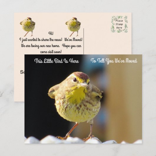 Palm Warbler - Backyard Bird New Address Post Card ポストカード (正面/裏面)