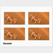 Palmatogecko On Sand Dune, Swakpomund, Erongo 長方形シール (シート)