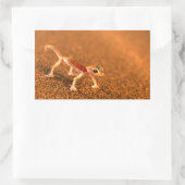 Palmatogecko On Sand Dune, Swakpomund, Erongo 長方形シール (バッグ)