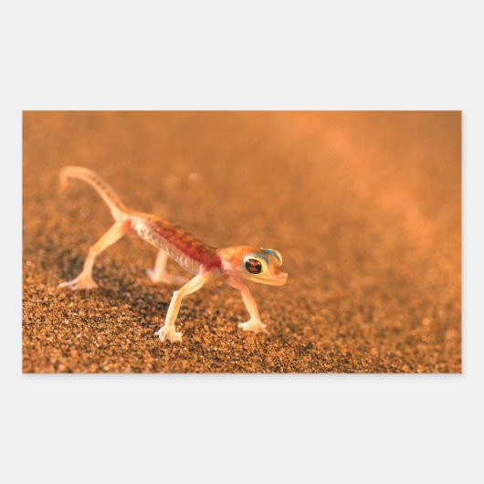 Palmatogecko On Sand Dune, Swakpomund, Erongo 長方形シール (正面)