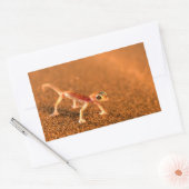 Palmatogecko On Sand Dune, Swakpomund, Erongo 長方形シール (封筒)