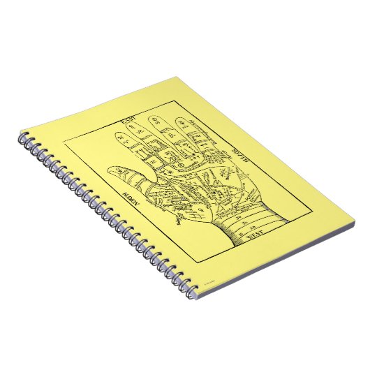 Palmistry 1671年 ノートブック (右側)