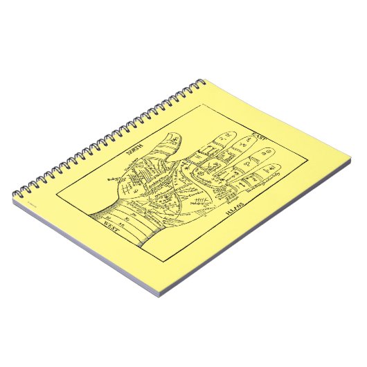 Palmistry 1671年 ノートブック (左側)