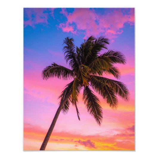 palms フォトプリント            (正面)