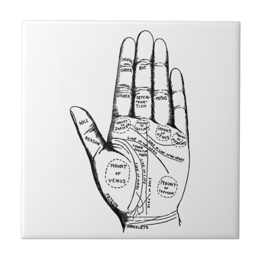 Palm's 読 Chart Palmistry Fortune teller future（パーム タイル (正面)
