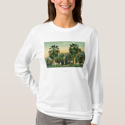 PalmsParaisoの対の春の眺め、カリフォルニア Tシャツ (正面)