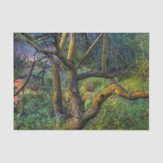 Palo Verdeの木 薄葉紙