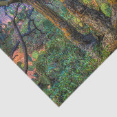 Palo Verdeの木 薄葉紙 (詳細)