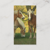 Palominoのばん馬の名刺 名刺 (裏面)