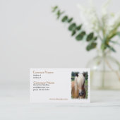 Palominoのクォーター馬の名刺 名刺 (スタンド正面)