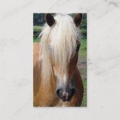 Palominoのクォーター馬の名刺 名刺 (裏面)