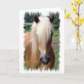 Palominoのクォーター馬の挨拶状 カード (黄色い花)